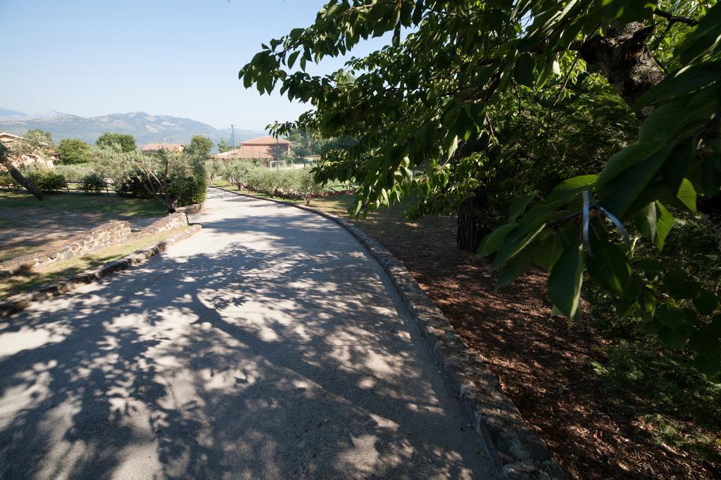 Agriturismo La Molara 세사 아우룬카 외부 사진